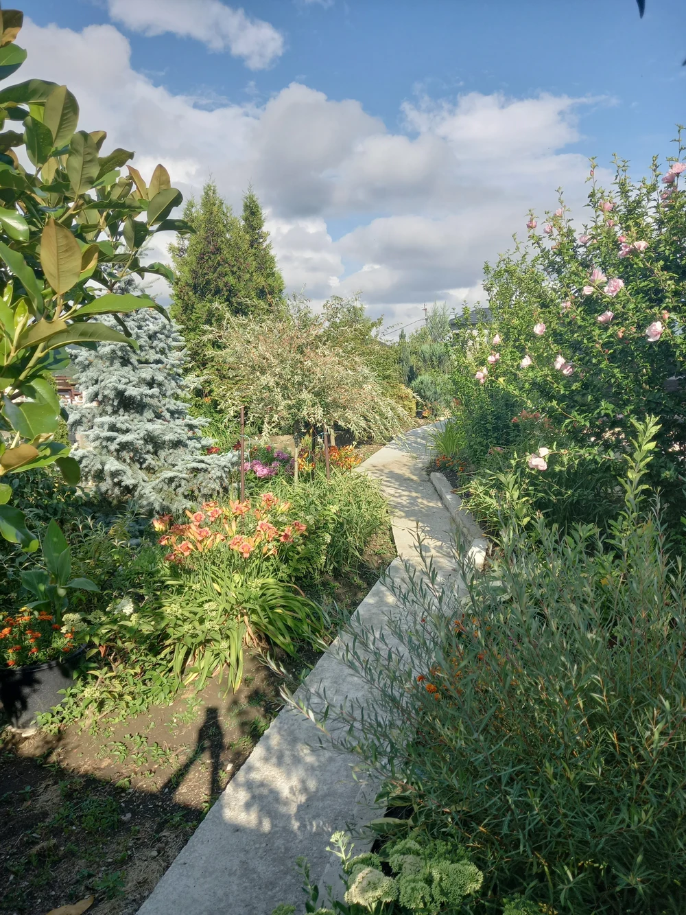 О ценах на проживание: