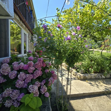 2х местный номер